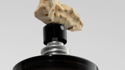 A propósito de esto: ¿A qué huelen realmente Fragrances de lirio?