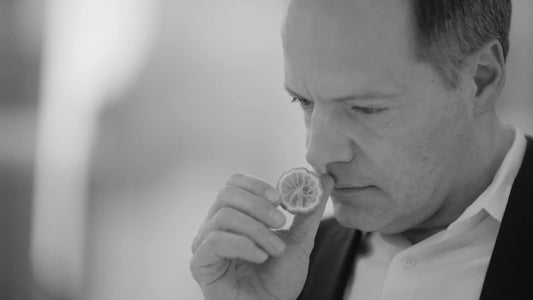 Bergamota Commodity Stephen Nilsen